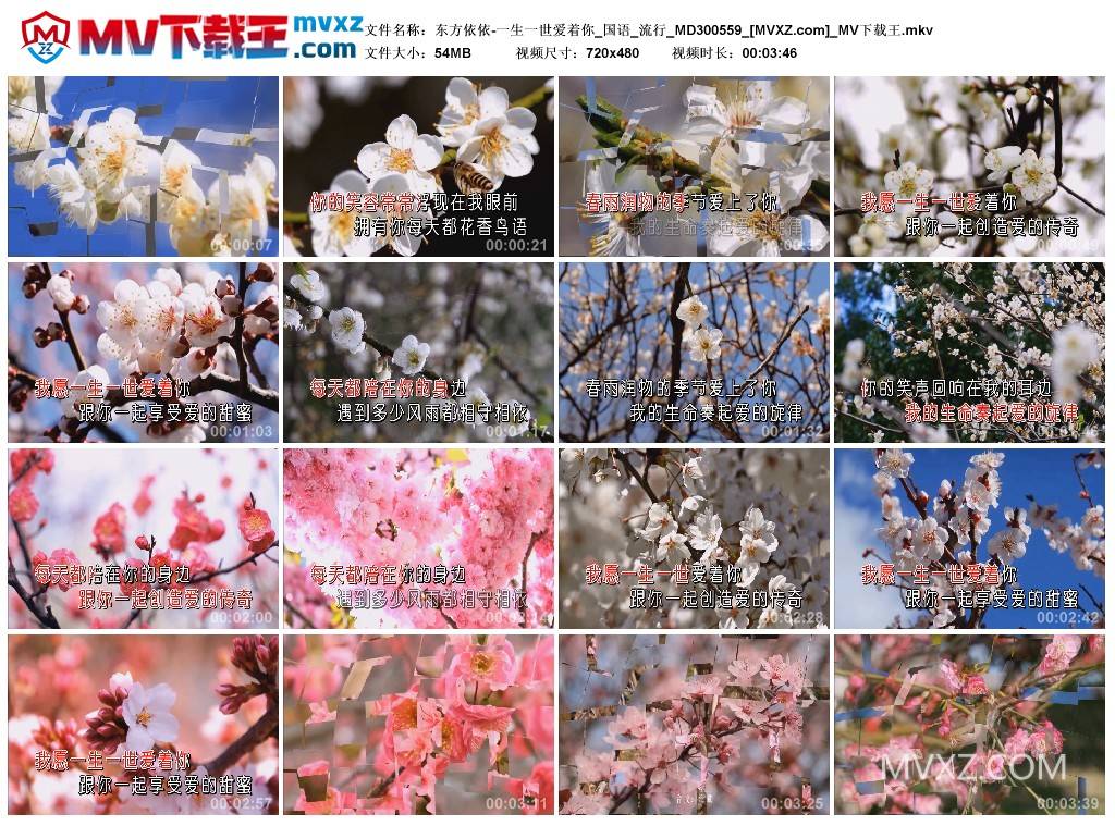 东方依依-一生一世爱着你_国语_流行_MD300559